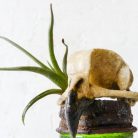 a2dab1116fad003f2e027cdbcdab127c.jpg